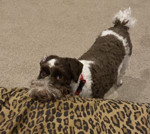 Nobody loves me.  (2/2020)