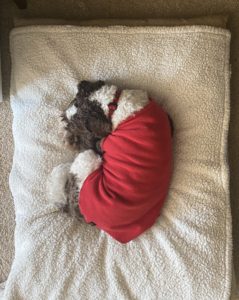 Its hard having sooooo much to do!!!